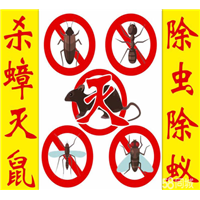 义乌灭蟑螂公司蟑螂卵怎么杀死呢？