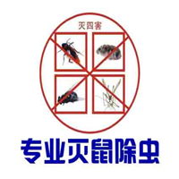 义乌杀虫公司