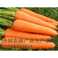开封胡萝卜专业代办|开封胡萝卜代办 