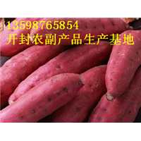 开封红薯品种%开封红薯代办 