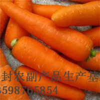 开封红萝卜代办中心/开封胡萝卜代办 