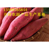开封红薯代办