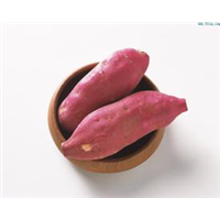 开封红薯代办/开封红薯 