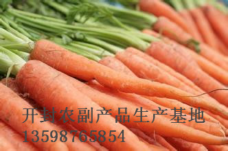 开封胡萝卜批发|开封胡萝卜代办 