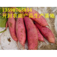 开封红薯价格