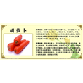 开封胡萝卜代办点 |开封胡萝卜批发