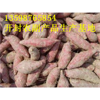 开封红薯代办