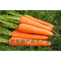 开封红萝卜代办|开封红萝卜批发电话