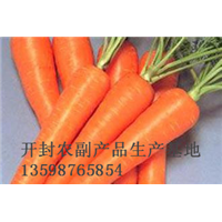 开封红萝卜代办%开封胡萝卜代办