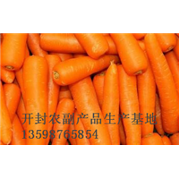 开封红萝卜价格（2016年） 