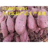 河南红薯代办