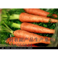 开封红萝卜批发|开封红萝卜代办
