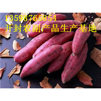 开封红薯批发