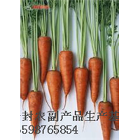 开封红萝卜-开封红萝卜哪家好