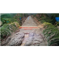 西宁亭子图片 