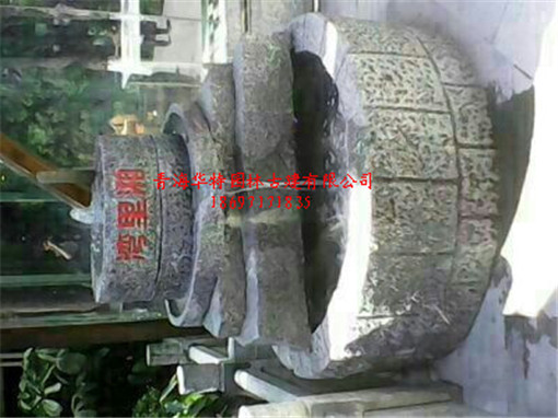 甘肃假树 