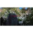 西宁园林假山 