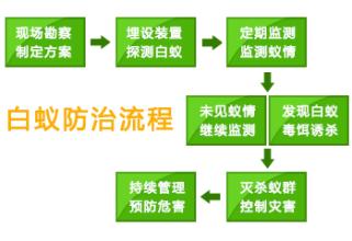 珠海香洲白蚁防治工程 