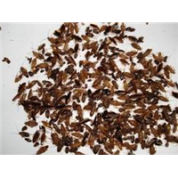 珠海灭白蚁