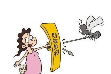 珠海杀蚊子公司