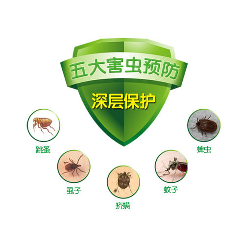 （珠海驱虫）（珠海专业驱虫）