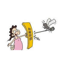 珠海杀蚊子公司