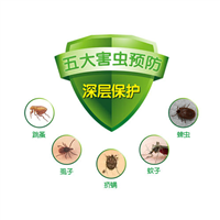（珠海驱虫）（珠海专业驱虫）