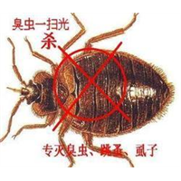珠海杀螳螂公司 