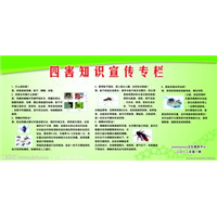 珠海灭蚊子