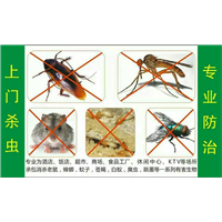 珠海杀虫灭鼠/珠海灭跳蚤13085824648