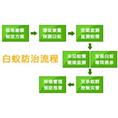 珠海香洲白蚁防治公司 