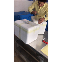 生物样本服务