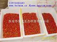 红豆杉鲜果 