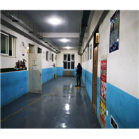 满城区除甲醛公司