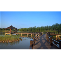 长沙混泥土仿木栏杆