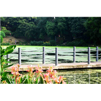 仿木护栏厂家定做