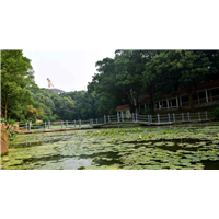 仿木栏杆