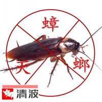 苏州灭蟑螂蟑螂对环境卫生的破坏苏州灭蟑螂找哪家