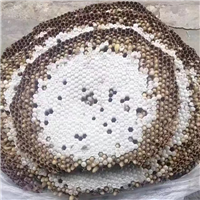 昆山清波杀虫灭鼠捅马蜂窝苏州灭鼠公司