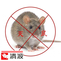 苏州灭鼠公司苏州抓老鼠厂里有老鼠怎么办