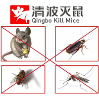 苏州灭老鼠苏州灭蟑螂我们教您如何防虫