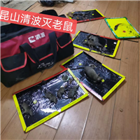 苏州灭鼠老鼠喜欢什么样的环境昆山清波灭鼠公司