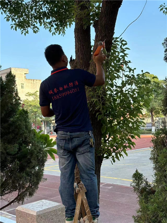 晋江健身房灭鼠灭蟑螂