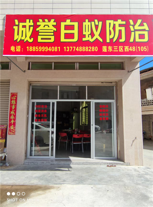 石狮白蚁防治