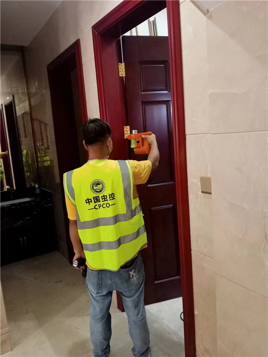 泉州白蚁防治