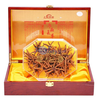 宁波回收冬虫夏草