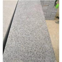 福鼎黑G684