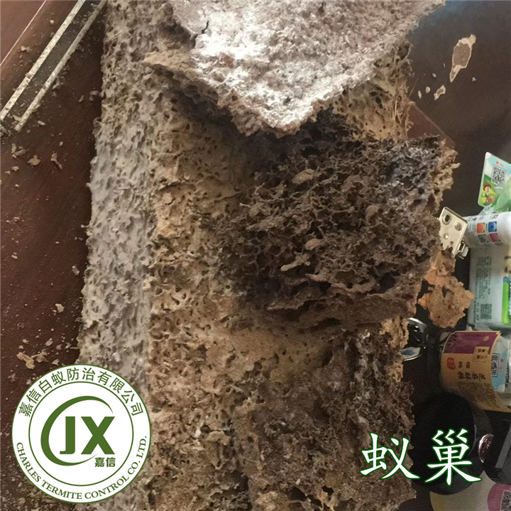 泉港白蚁防治泉港嘉信灭白蚁