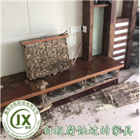 泉港白蚁防治泉港除螨虫泉港有
