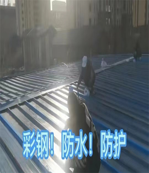 彩钢瓦防水防护案例